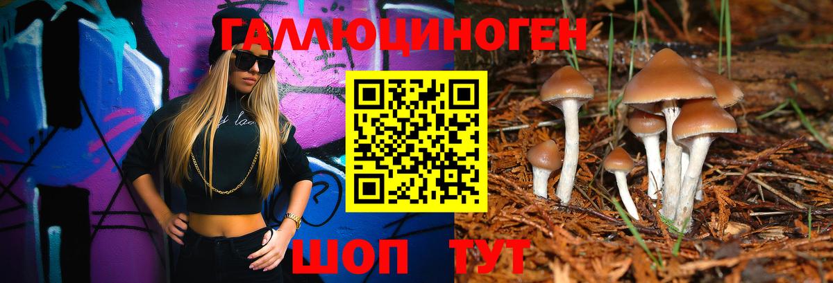 Галлюциногенные грибы Cubensis Звенигород