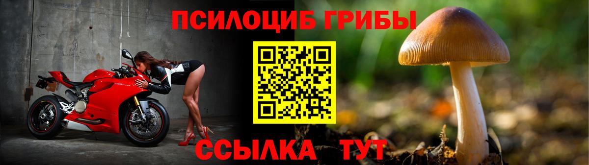 Галлюциногенные грибы прущие грибы  Вход с VPN  Звенигород 