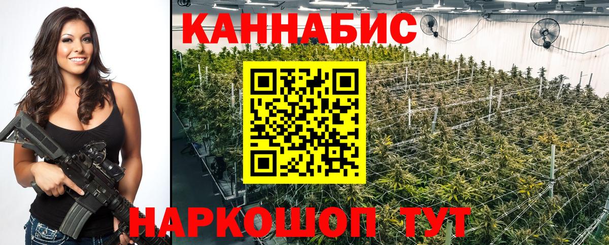 Бошки марихуана White Widow  Вход с VPN  Звенигород  МАРИХУАНА Ganja  МАРИХУАНА THC 21% 